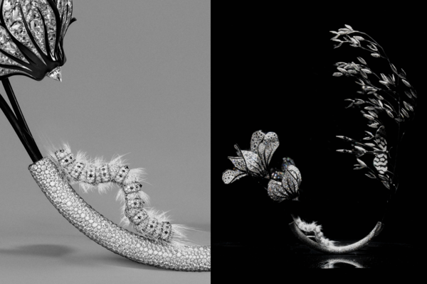 ▲BOUCHERON、BVLGARI。（圖／品牌提供）