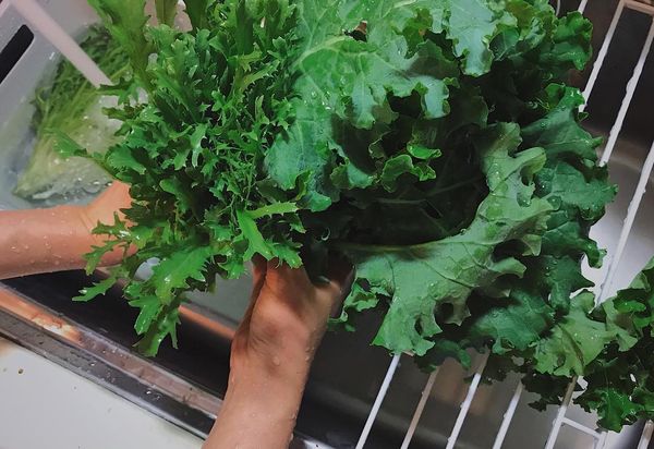 ▲台中人氣早午餐「於光」熄燈。（圖／Solar table 於光提供）