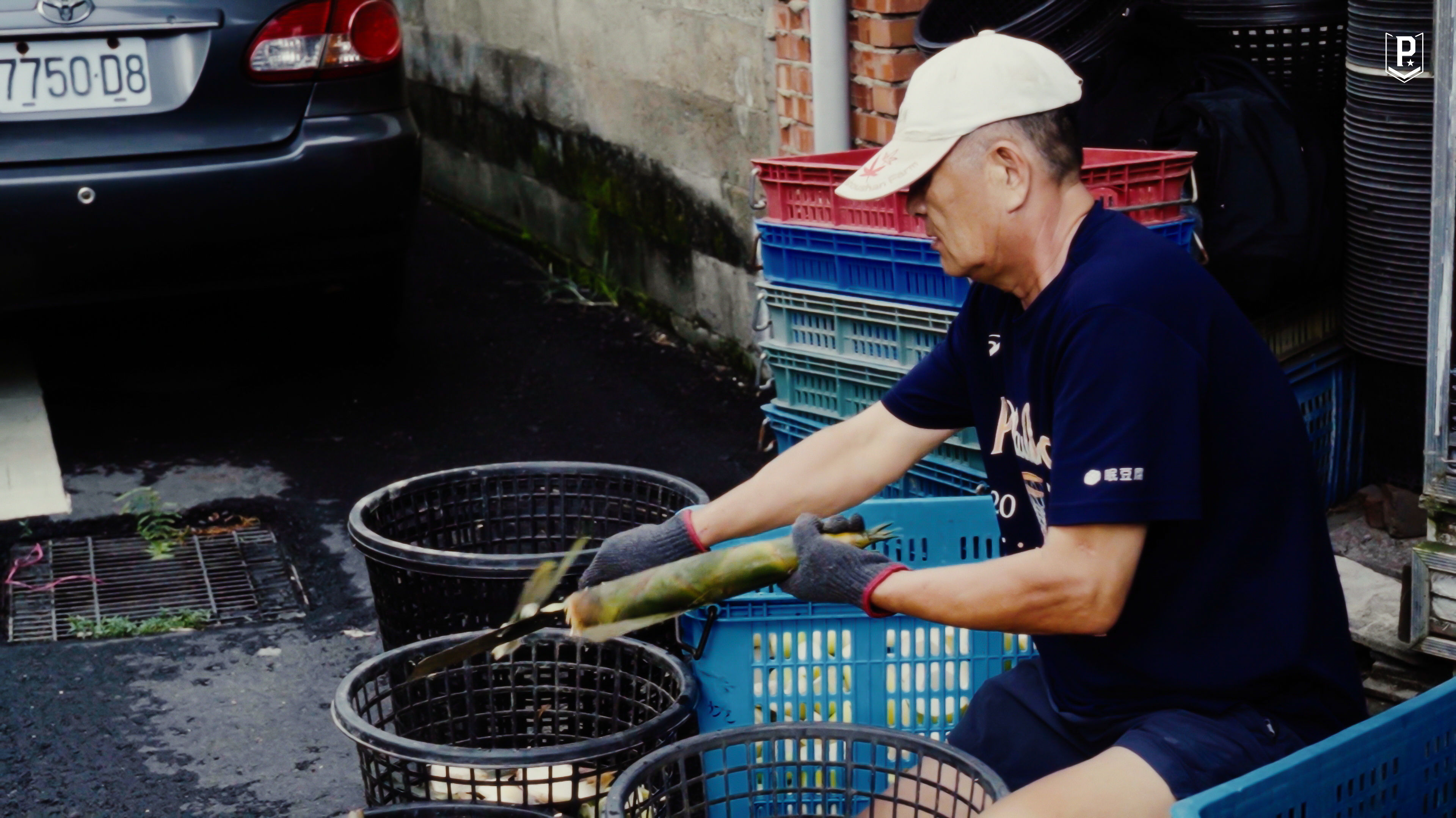 ▲▼關達祐上季總冠軍賽屢次扮演奇兵；關達祐爸爸工作處理竹筍；關達祐（左3）代表雲林鎮南國小籃球隊出賽。（圖／領航猿提供）