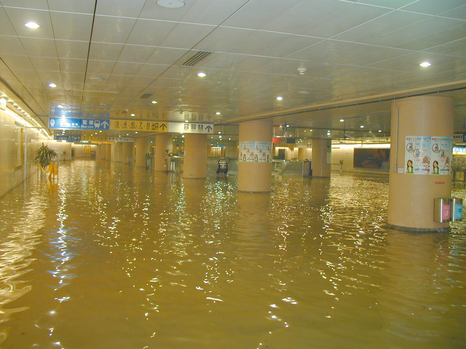▲▼             。（圖／翻攝自Facebook／台北捷運 Metro Taipei）