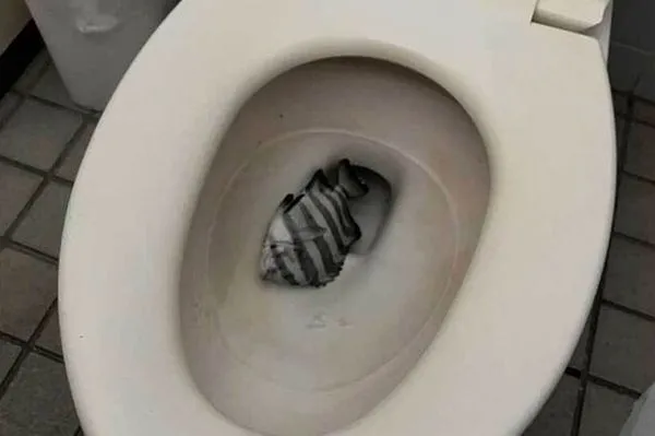 釣魚場附近廁所竟出現荒唐一幕。（翻攝畫面）