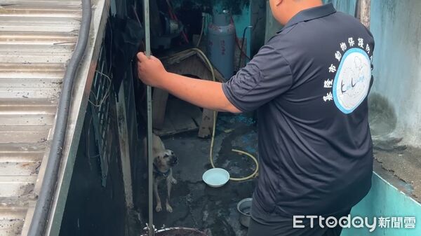 ▲惡犬從家門內衝出攻擊郵差害斷指，動保處事後將該犬隻捕獲收容。（圖／記者郭世賢翻攝）