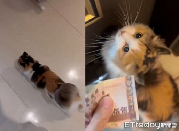 ▲。（圖／Threads@@jw_alextso提供，請勿隨意翻拍，以免侵權。）