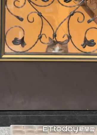 ▲。（圖／Threads@@jw_alextso提供，請勿隨意翻拍，以免侵權。）