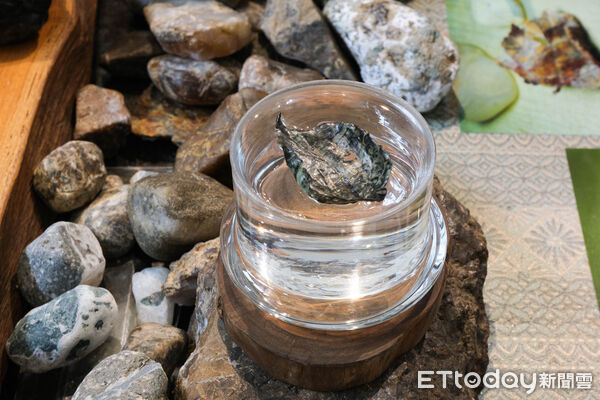 ▲彰化旅遊,八卦山風景區,八卦山大佛,卦山村,野花小姐,雷打石,踏印版圖工作坊。（圖／記者彭懷玉攝）