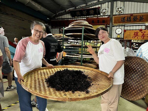 ▲2025浪漫台三製茶技術研習