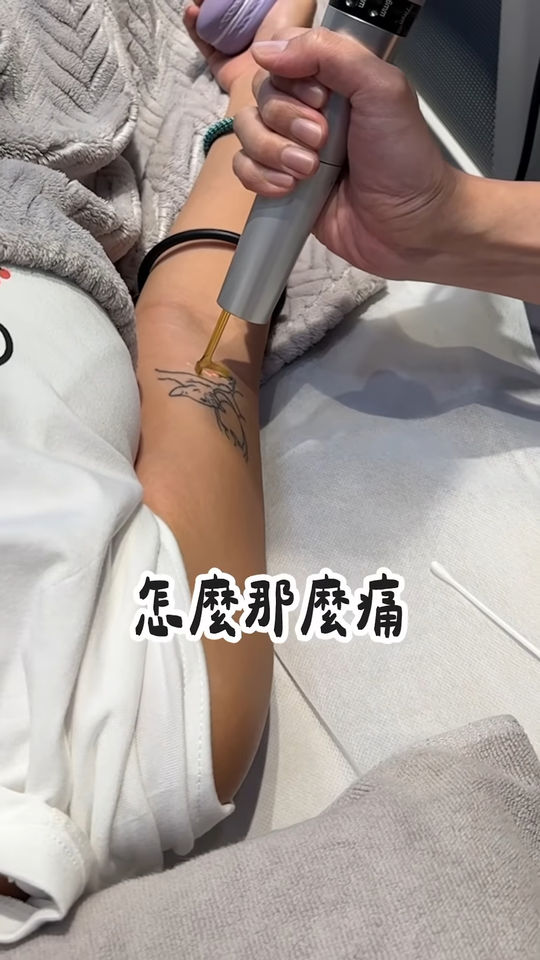 ▲一隻阿圓。（圖／翻攝自Instagram／nanaciaociao）