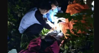 陸男深山撿野菌抬頭一看嚇傻！黑熊站眼前　遭攻擊摔暈山谷獲救