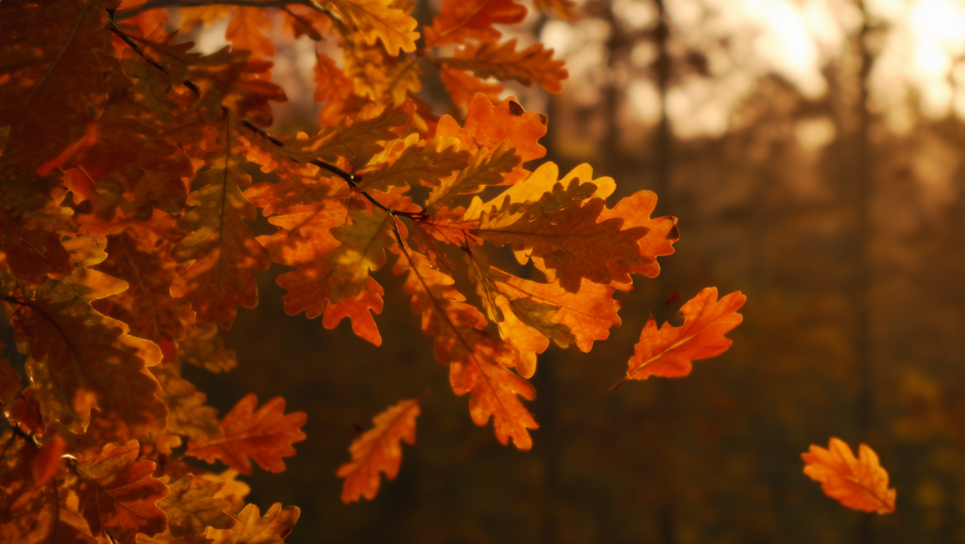 ▲秋分時節      。（圖／AI）