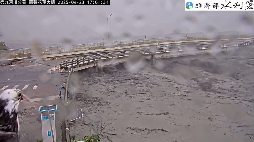 ▲▼鳥鳥闖入花蓮大橋，網友大歪樓。（圖／翻攝經濟部水利署）