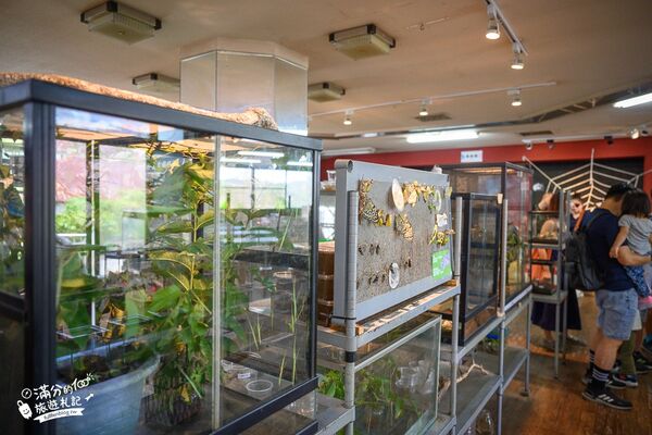 ▲▼南投蝴蝶小鎮生態休閒園區「木生昆蟲博物館」，最新門票資訊，蝴蝶會停在你身上的夢幻蝴蝶園。（圖／部落客滿分提供）
