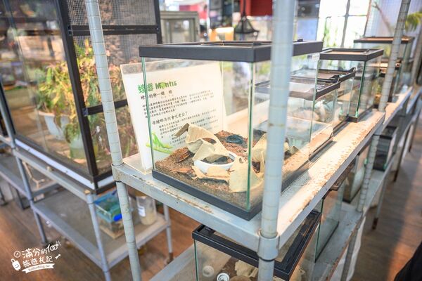 ▲▼南投蝴蝶小鎮生態休閒園區「木生昆蟲博物館」，最新門票資訊，蝴蝶會停在你身上的夢幻蝴蝶園。（圖／部落客滿分提供）