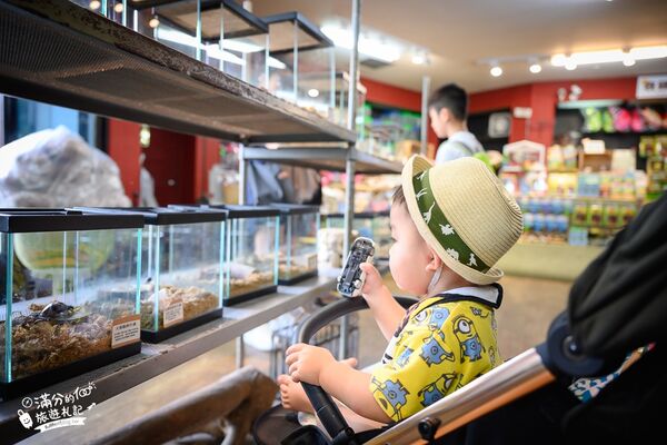 ▲▼南投蝴蝶小鎮生態休閒園區「木生昆蟲博物館」，最新門票資訊，蝴蝶會停在你身上的夢幻蝴蝶園。（圖／部落客滿分提供）