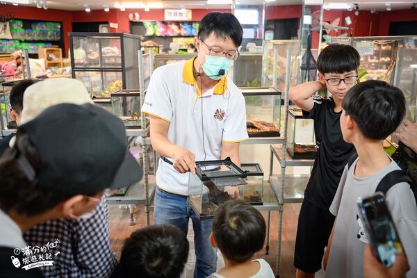 ▲▼南投蝴蝶小鎮生態休閒園區「木生昆蟲博物館」，最新門票資訊，蝴蝶會停在你身上的夢幻蝴蝶園。（圖／部落客滿分提供）