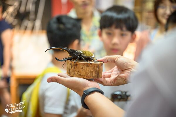 ▲▼南投蝴蝶小鎮生態休閒園區「木生昆蟲博物館」，最新門票資訊，蝴蝶會停在你身上的夢幻蝴蝶園。（圖／部落客滿分提供）