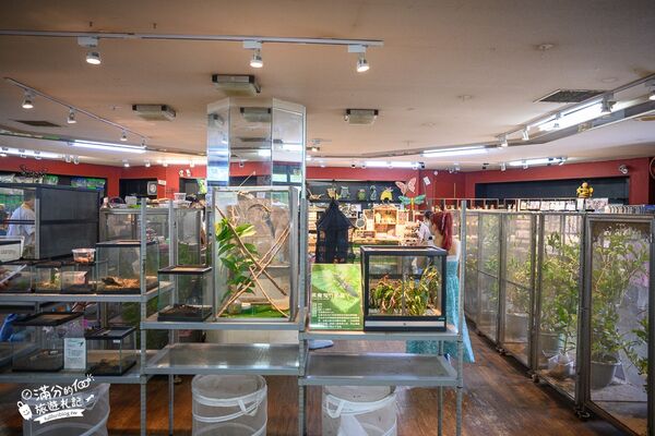 ▲▼南投蝴蝶小鎮生態休閒園區「木生昆蟲博物館」，最新門票資訊，蝴蝶會停在你身上的夢幻蝴蝶園。（圖／部落客滿分提供）