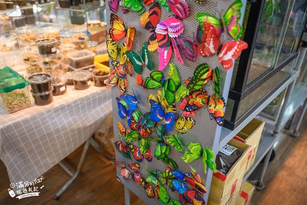 ▲▼南投蝴蝶小鎮生態休閒園區「木生昆蟲博物館」，最新門票資訊，蝴蝶會停在你身上的夢幻蝴蝶園。（圖／部落客滿分提供）