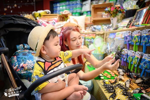 ▲▼南投蝴蝶小鎮生態休閒園區「木生昆蟲博物館」，最新門票資訊，蝴蝶會停在你身上的夢幻蝴蝶園。（圖／部落客滿分提供）