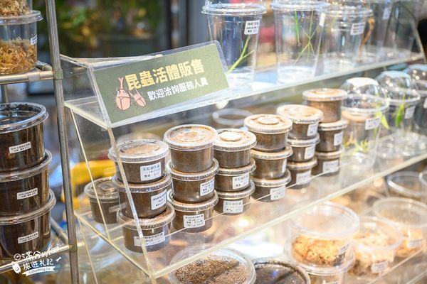 ▲▼南投蝴蝶小鎮生態休閒園區「木生昆蟲博物館」，最新門票資訊，蝴蝶會停在你身上的夢幻蝴蝶園。（圖／部落客滿分提供）