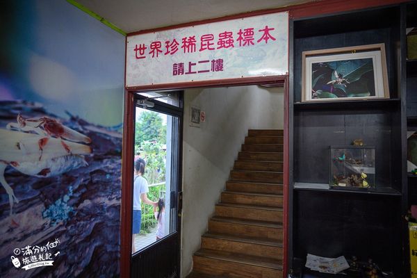 ▲▼南投蝴蝶小鎮生態休閒園區「木生昆蟲博物館」，最新門票資訊，蝴蝶會停在你身上的夢幻蝴蝶園。（圖／部落客滿分提供）