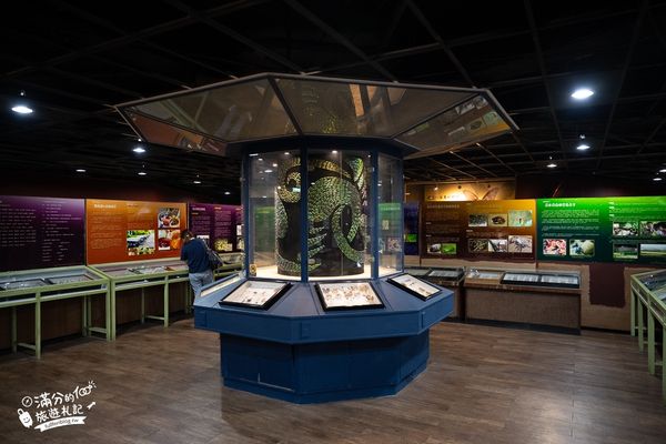 ▲▼南投蝴蝶小鎮生態休閒園區「木生昆蟲博物館」，最新門票資訊，蝴蝶會停在你身上的夢幻蝴蝶園。（圖／部落客滿分提供）