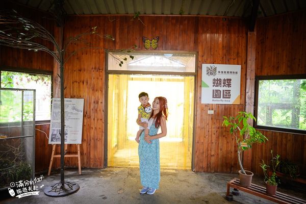 ▲▼南投蝴蝶小鎮生態休閒園區「木生昆蟲博物館」，最新門票資訊，蝴蝶會停在你身上的夢幻蝴蝶園。（圖／部落客滿分提供）