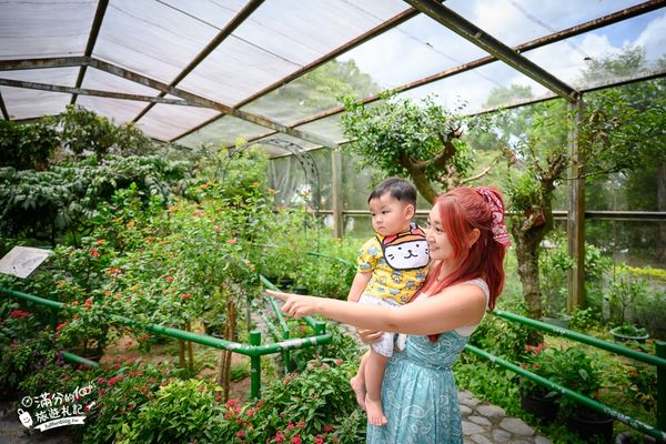 ▲▼南投蝴蝶小鎮生態休閒園區「木生昆蟲博物館」，最新門票資訊，蝴蝶會停在你身上的夢幻蝴蝶園。（圖／部落客滿分提供）