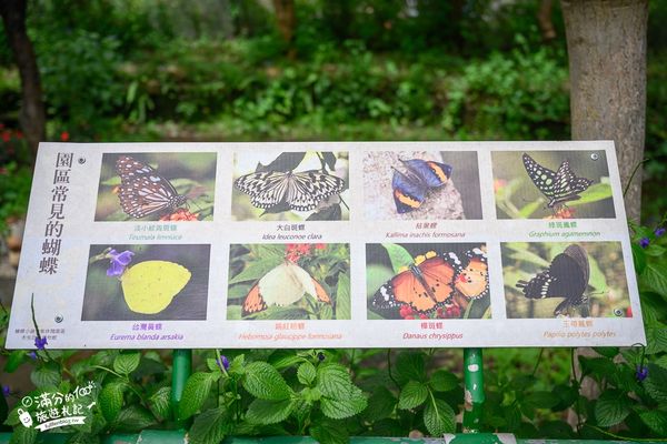 ▲▼南投蝴蝶小鎮生態休閒園區「木生昆蟲博物館」，最新門票資訊，蝴蝶會停在你身上的夢幻蝴蝶園。（圖／部落客滿分提供）