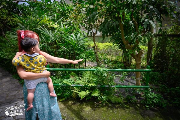 ▲▼南投蝴蝶小鎮生態休閒園區「木生昆蟲博物館」，最新門票資訊，蝴蝶會停在你身上的夢幻蝴蝶園。（圖／部落客滿分提供）