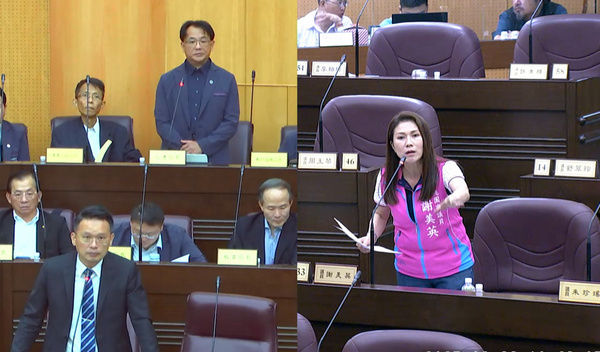 ▲市議員謝美英針對桃園三顆巨蛋定位及區隔提出質詢