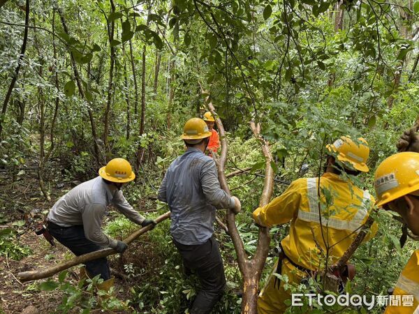 ▲屏東台電搶修電力。（圖／屏東台電區處提供）
