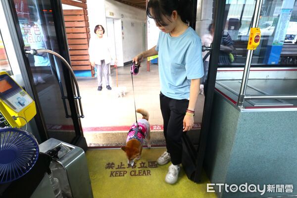 ▲台南市政府自9月27日起試辦「假日友善狗狗公車」，毛小孩免籠也能搭乘。（記者林東良翻攝，下同）