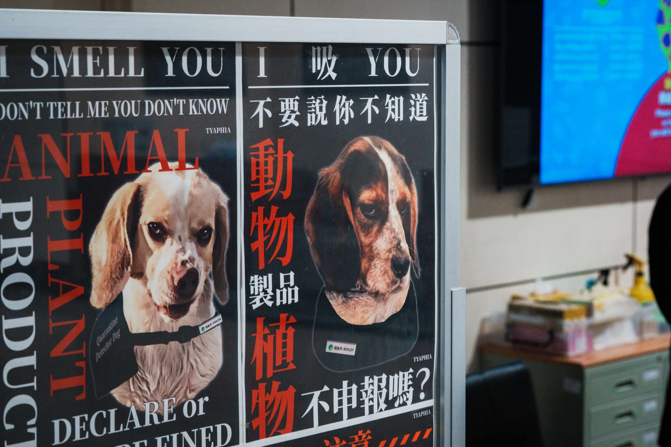 ▲▼  桃園國際機場,桃園機場公司,服務楷模,動植物檢疫,檢疫人員,農委會,防疫。（圖／記者王星尹攝）