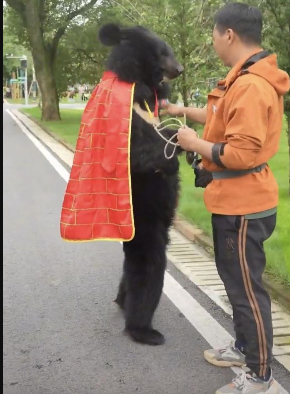 ▲安徽皖南動物園黑熊。（圖／翻攝微博）