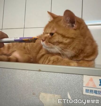 ▲。（圖／Threads@reflection.of.colombia提供，請勿隨意翻拍，以免侵權。）