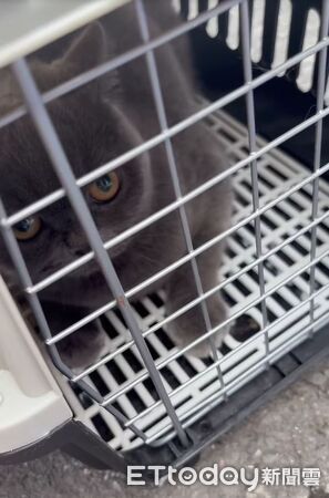 ▲。（圖／Threads@reflection.of.colombia提供，請勿隨意翻拍，以免侵權。）