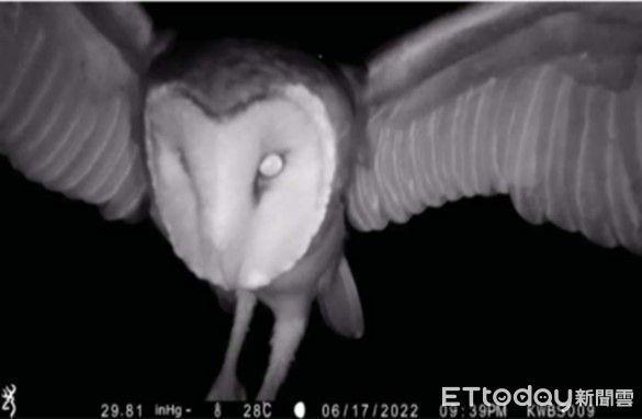 ▲南科管理局局長及團隊現勘沙崙生態科學園區，規劃鑲嵌棲地並保留原牧草區，兼顧科技建設與生態保育。（記者林東良翻攝，下同）