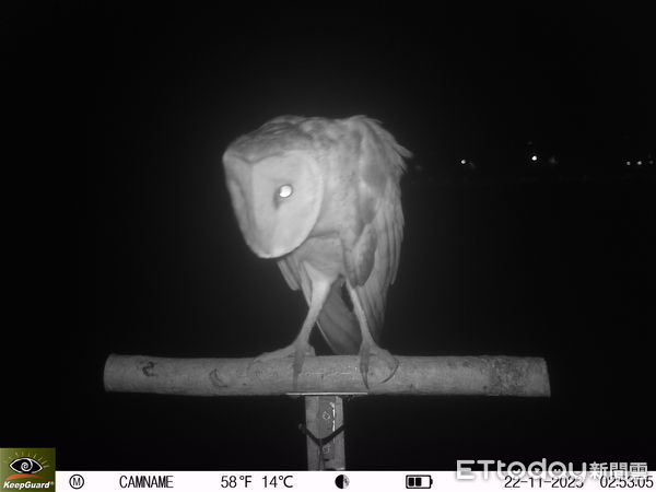 ▲南科管理局局長及團隊現勘沙崙生態科學園區，規劃鑲嵌棲地並保留原牧草區，兼顧科技建設與生態保育。（記者林東良翻攝，下同）