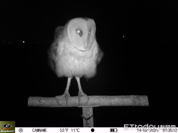 ▲南科管理局局長及團隊現勘沙崙生態科學園區，規劃鑲嵌棲地並保留原牧草區，兼顧科技建設與生態保育。（記者林東良翻攝，下同）