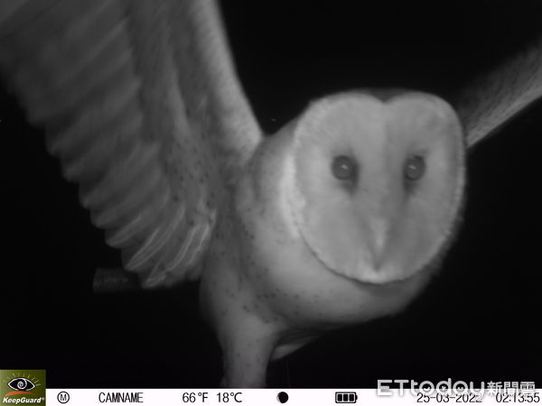 ▲南科管理局局長及團隊現勘沙崙生態科學園區，規劃鑲嵌棲地並保留原牧草區，兼顧科技建設與生態保育。（記者林東良翻攝，下同）