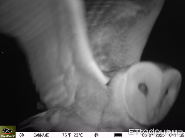 ▲南科管理局局長及團隊現勘沙崙生態科學園區，規劃鑲嵌棲地並保留原牧草區，兼顧科技建設與生態保育。（記者林東良翻攝，下同）