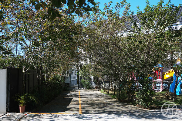 ▲▼清境駿亦景觀民宿。（圖／部落客JJ.Hsu授權提供）