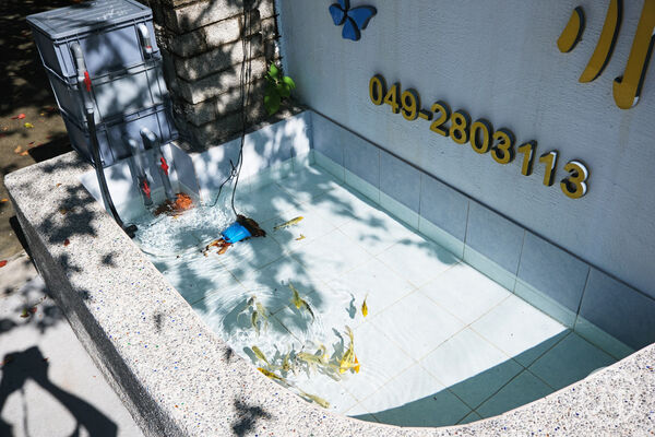 ▲▼清境駿亦景觀民宿。（圖／部落客JJ.Hsu授權提供）