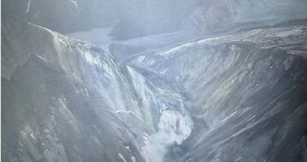 。（圖／農業部提供）