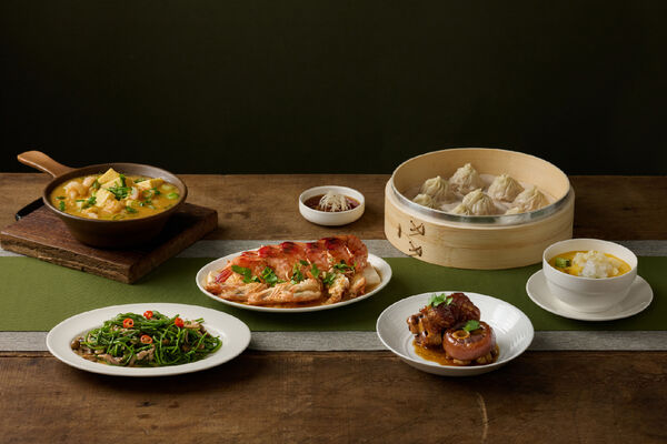 ▲▼南投春秋山林。（圖／春水堂提供）