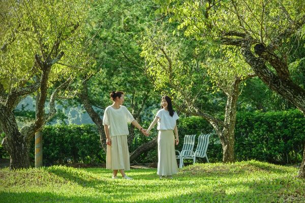 ▲▼南投春秋山林。（圖／春水堂提供）