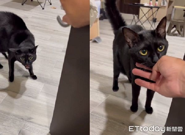 ▲。（圖／Threads@joshuahu0209提供，請勿隨意翻拍，以免侵權。）