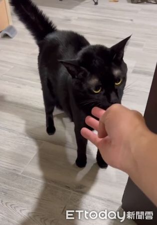 ▲。（圖／Threads@joshuahu0209提供，請勿隨意翻拍，以免侵權。）