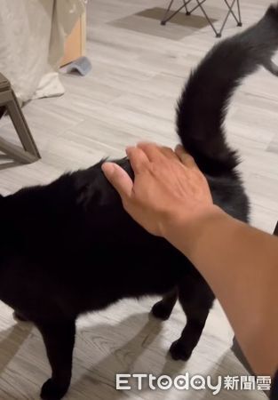 ▲。（圖／Threads@joshuahu0209提供，請勿隨意翻拍，以免侵權。）