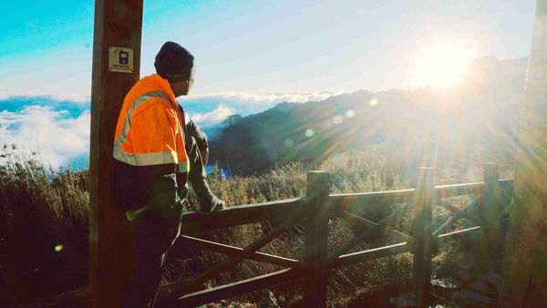 ▲《高山遊民》的主角阿共曾走過生命低谷，在山中重拾人生的出口。（圖／海鵬提供）